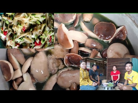 #แกงเห็ดผึ้งขมใส่น้ำใบหญ้านางแ #แกงเห็ดผึ้งขมใส่น้ำใบหญ้านางแ