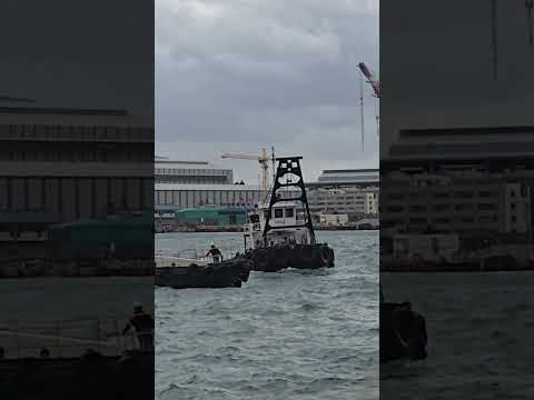 Mipo's daily life - 104