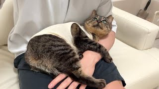 動画サムネイル