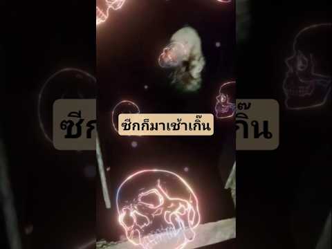 แมวขออาหาร#หน้าซีก#แมวน่ารัก#คลิปแมว#Cat#CuteCat#CatLovers#NaSeek#CatShorts #Ghost #Halloween