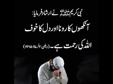 رسول اللہ صلی اللہ علیہ والہ وسلم نے ارشاد فرمایا آنکھوں کا رونا اور دل کا خوف اللہ کی رحمت ہے۔۔۔