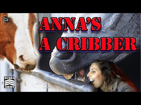 Anna Is A Cribber - #TheBubbaArmy
