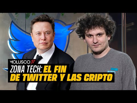 Elon Musk destruye Twitter / Destapamos la realidad del colapso Cripto