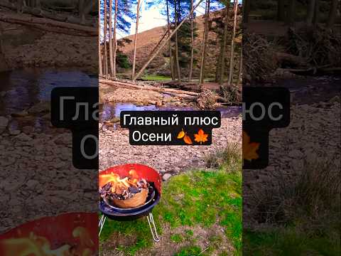 Главный плюс осени 🍂 цитаты Стетхема #стетхем #цитаты #shorts