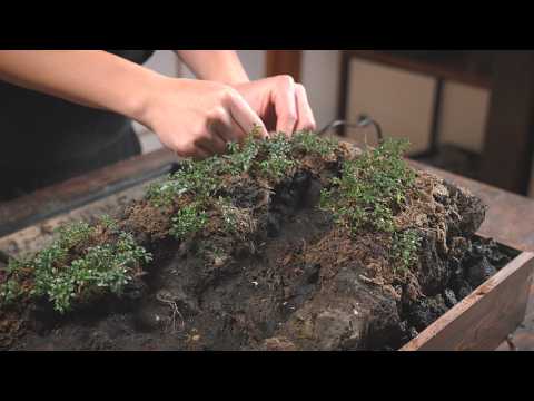 Creating a Nagano Waterfall