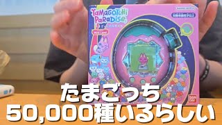 新作たまごっちを買いに行ったらスイッチ2が緊急入荷して一旦たまごっちを開封したけど電池がなくて何もできなかった時のVlog
