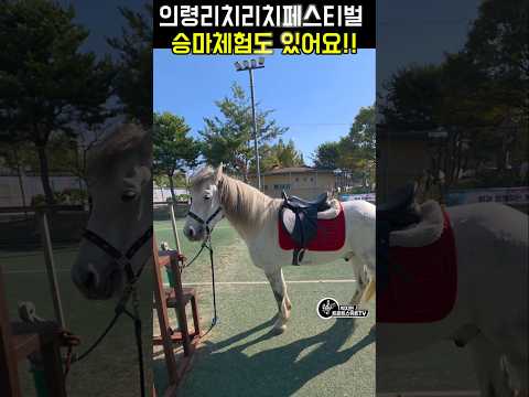 박지현 <strong>가수님을</strong> 기다리며 의령리치리치페스티벌 승마체험 있어요! #박지현 #박지현가수 #의령리치리치페스티벌 #승마체험