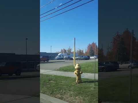 mùa Thu tại Mỹ 2024, Halloween 2024