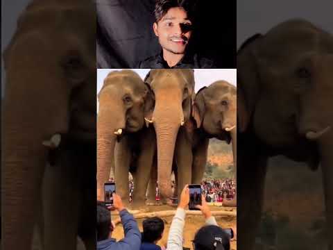 AI ने मेरा दिमाग उड़ा दिया! 😱 Shocking Reaction जो आपको हैरान कर देगा | #shorts #viral