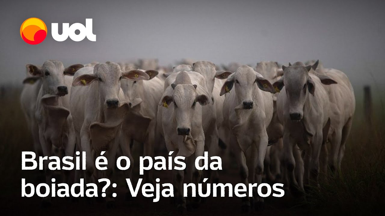 País da boiada? Você sabia que o Brasil tem mais boi do que gente?; assista