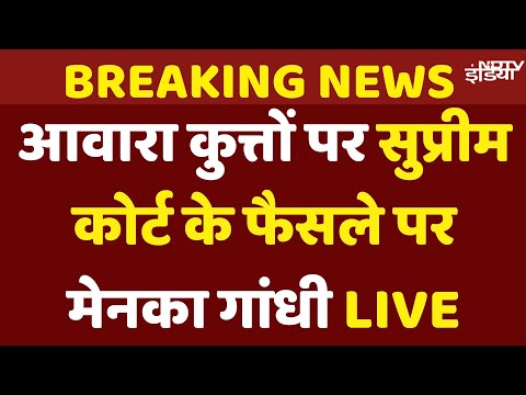 Supreme Court Order On Stray Dogs: आवारा कुत्तों पर SC के फैसले पर क्या बोली Maneka Gandhi