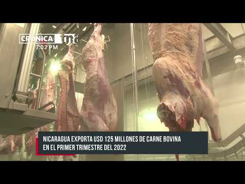 Nicaragua exporta USD 125 millones de carne bovina en 1er Trimestre 2022