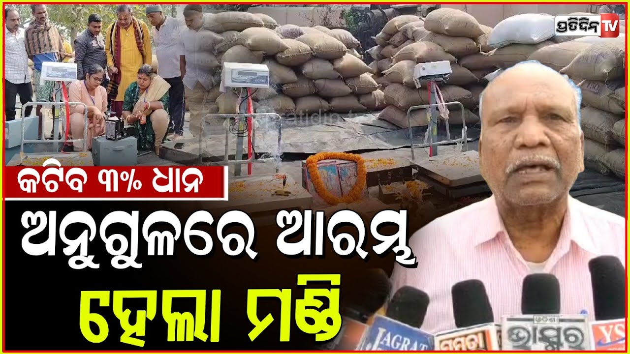 କଟିବ ୩% ଧାନ, ଅନୁଗୁଳରେ ଆରମ୍ଭ ହେଲା ମଣ୍ଡି। Paddy procurement in Angul begins.