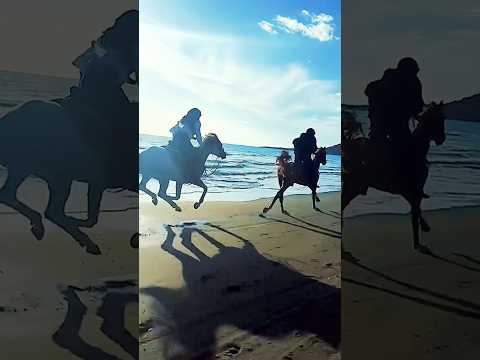 Why Beach Horse Riding is the BEST Kind of Riding