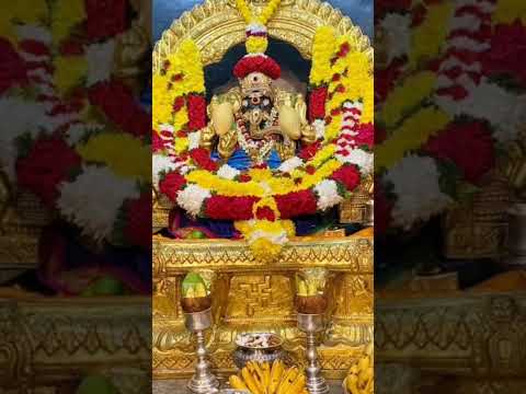 ஓம் வினாயகா போற்றி🙏#shorts #tamil #tamilnadu #pondicherry #shortsviral #shortsvideo #ganapati #shots