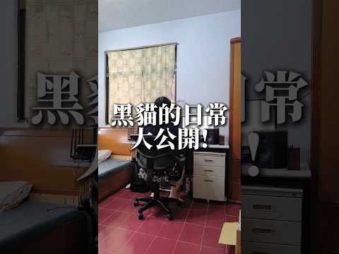 黑貓的日常