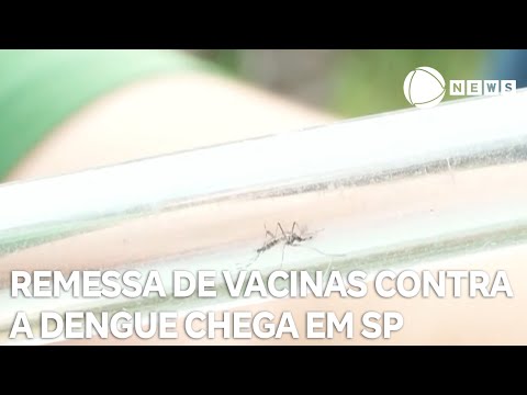 Primeira remessa de vacinas contra a dengue chega em São Paulo