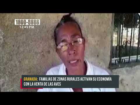Crianza de gallinas y chompipes en Nandaime deja buenos resultados - Nicaragua