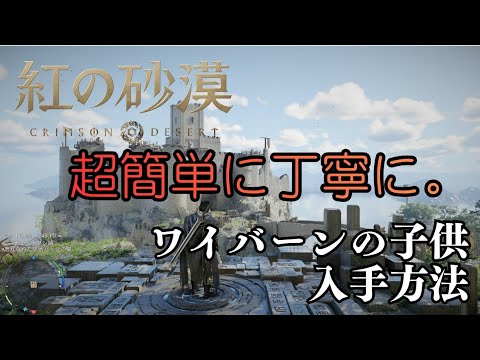 【紅の砂漠】【ワイバーンの子供入手方法】シンプルに攻略します。もし良かったらご参考に。（Crimson Desert）