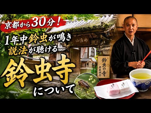 【鈴蟲寺について】住職のインタビューあり!