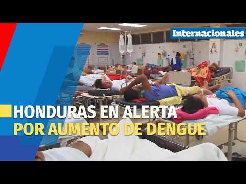Honduras en alerta por aumento de dengue