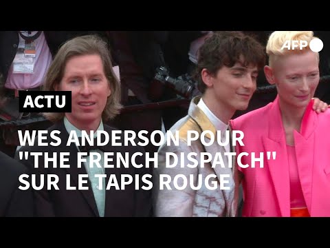 Cannes: Wes Anderson et son casting XXL sur le tapis rouge pour The French Dispatch | AFP Images