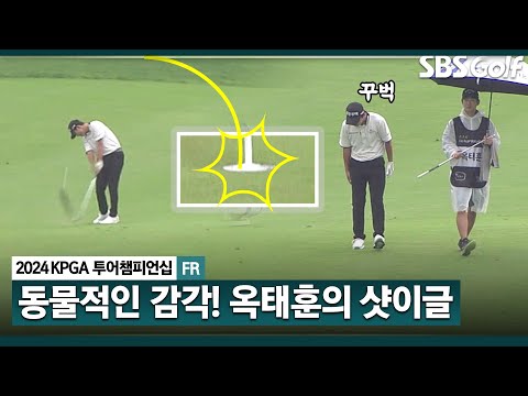 [2024 KPGA] 시즌 홀인원만 두 번!! 옥태훈의 동물적인 감각! 샷이글 쏩니다_KPGA 투어챔피언십 FR