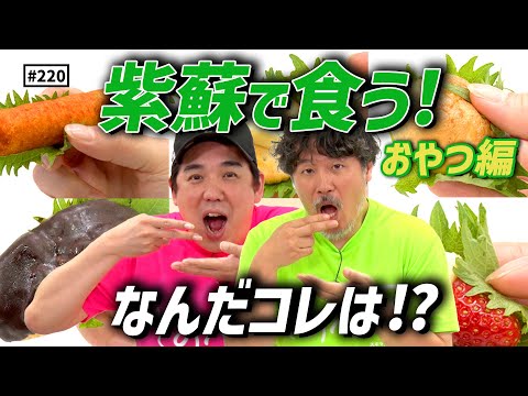 【公式】#220 紫蘇の可能性を探ろう！(おやつ編)「スキマスイッチのこのヘンまでやってみよう」
