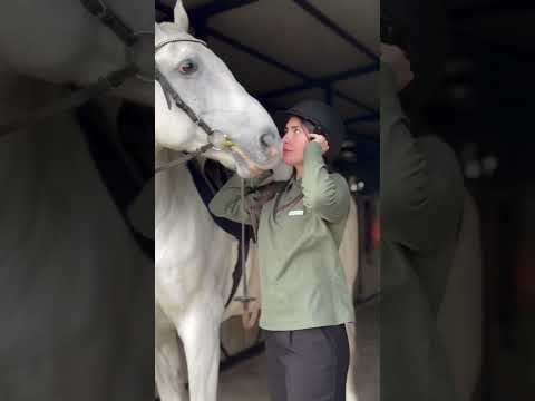 Polo-long можно выбрать и заказать на сайте #mantisofficial #mantis #polo #shop