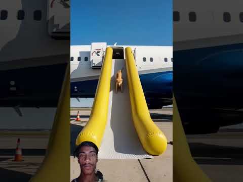 #movie #film #aviation #goldenretriever #flight #interstellar #piano #hanszimmer #rescue #plane