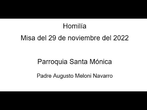 Homilía extraída de la Misa del 29 de noviembre del 2022