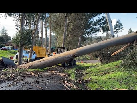 Powerful storm topples trees and damages homes in Northern California