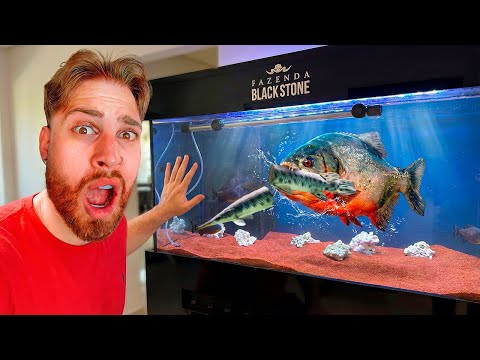 A PIRANHA GIGANTE ESTÁ COMENDO MEUS BOCA DE JACARÉ VIVOS !! 😱🆘