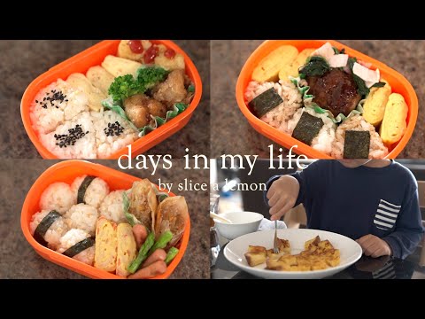 幼稚園弁当/3歳児/年少/お弁当作り初心者/料理vlog