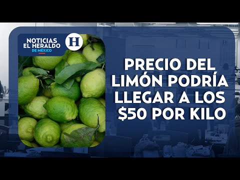 ¡Limón por las nubes! Precio podría alcanzar los 50 pesos por kilo | Noticias El Heraldo de México