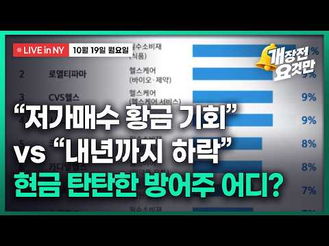[박신영의 개장전요것만-10월19일] "저가매수 황금 기회" vs "내년까지 하락"...현금 탄탄한 방어주 어디?