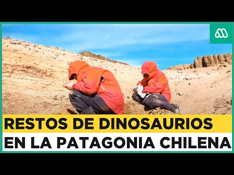 Dinosaurios en Chile: Descubren restos de dinosaurios en la Patagonia chilena