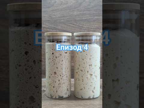 Как да имаме квас за 7 дена - Епизод 4!