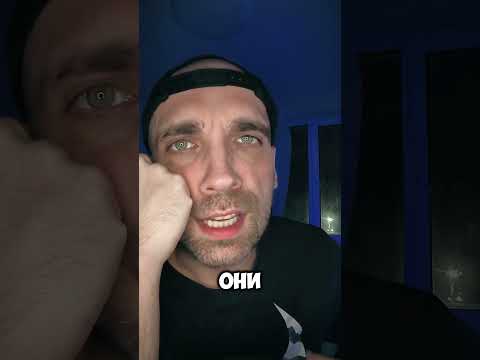 Я нашел вам работу мечты #выдры #животные