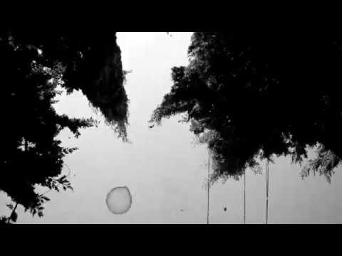 Summer_Chill.mp4