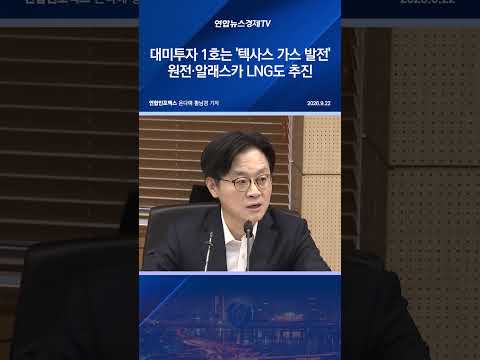 <strong>대미투자</strong> 1호는 '텍사스 가스 발전'…원전·알래스카 LNG도       추진