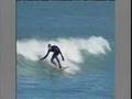 Lake Michigan Surfing Special