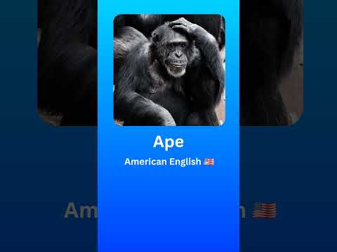 How to Pronounce Ape (American English 🇺🇲) #2024 #language #pronunciation #english #ape