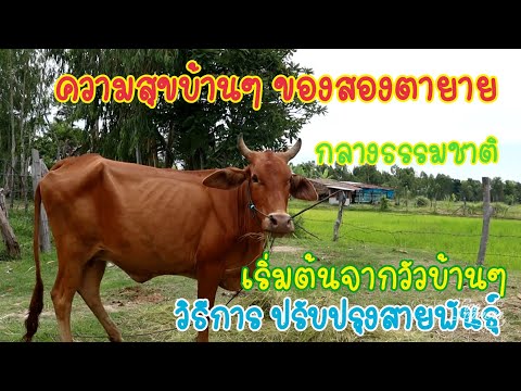 0844768229-ความสุขบ้านๆสองตายา 0844768229-ความสุขบ้านๆสองตายา