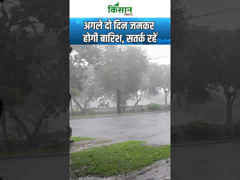 Weather Update: Delhi से Bihar तक Heavy Rain Alert #shorts  । Kisan India