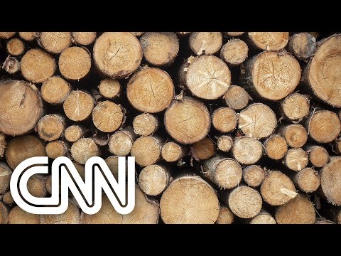 Saiba se é possível acabar com o desmatamento até 2030 | AGORA CNN