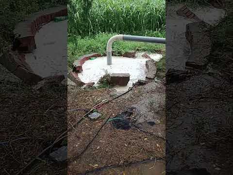 aaj brown ha Paani paani#funny