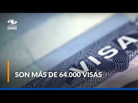 Estados Unidos: ¿cómo se puede aplicar a las visas de trabajo temporal no agrícola?