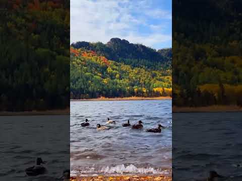 16 октября 2025 г.