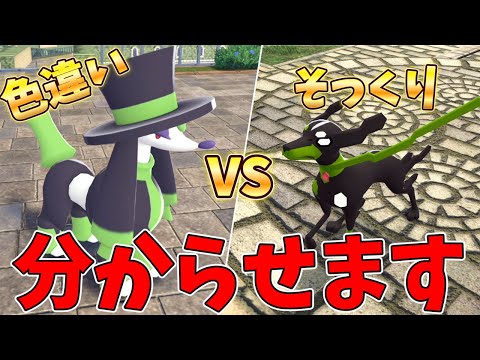 【鬼畜】トリミアン1匹だけでジガルデを捕獲します【ポケモンZA】【ゆっくり実況】